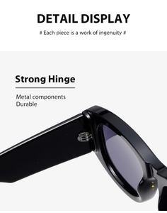 Detail view of strong metal hinges and durable frame components on black sunglasses