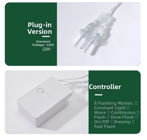 Detail of 2-pin 220V plug and 8-mode controller box for festive Christmas light decoration