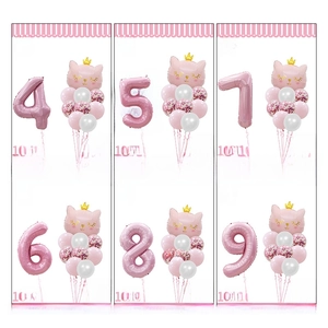 Kit ballons anniversaire chat rose avec chiffre en alu et chat couronne pour fête