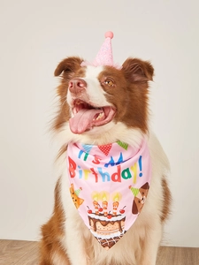 Pink glitter dog birthday hat and bandana set shown on a Border Collie during a party