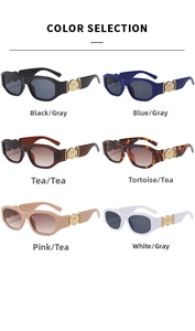 Detailed catalog of thick frame sunglasses with iconic golden medallions on temples