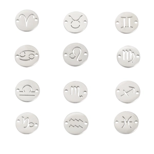 Polished stainless steel 12 zodiac charms with double holes in a professional grid layout