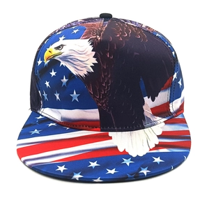 Flat brim baseball cap featuring American flag and bald eagle print for hip hop style