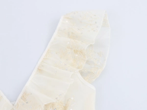 Détail de dentelle à volants beige avec broderie dorée et sequins brillants de robe