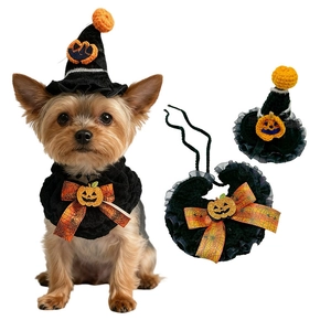 Halloween pet wizard hat and pumpkin collar set for dogs and cats in black and orange