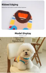 Close-up of ribbed cuffs and rainbow striped knit sweater on a small Bichon dog