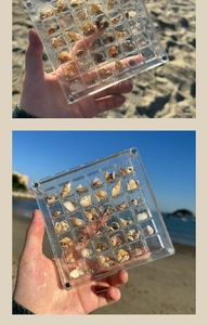 36-grid clear acrylic seashell storage box with magnetic closure held against beach sea
