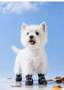 Close-up of small white dog wearing black soft-sole pet boots for outdoor protection