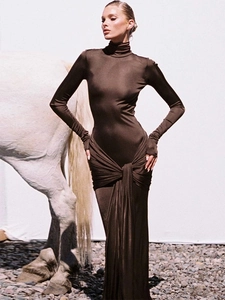 Robe Maxi À Col Roulé Et Manches Longues Avec Détail Noeud Et Taille Nouée Coupe Ajustée Pour Femmes