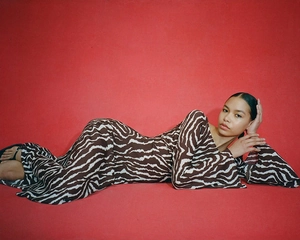 Close-up of zebra pattern fabric on long sleeve dress with soft drape and high quality texture