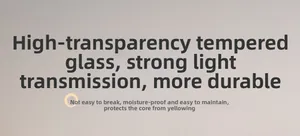 Tempered glass panel for frames with high light transmission and moisture protection
