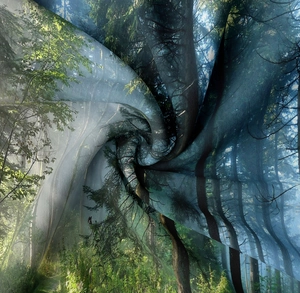 Macro view of forest tapestry showing soft sheer fabric and vibrant digital printed nature
