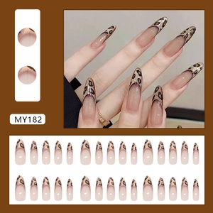 Französisches Leoparden-Katzenaugen-Nagelset mit langer Stiletto-Form und Nude-Basis