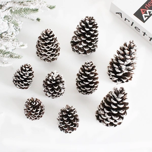 Decorative white-tipped pine cones set for Christmas winter home decor on white background