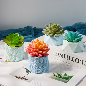 Set van vier realistische vetplanten in geometrische potten met houtnerf op tijdschriften