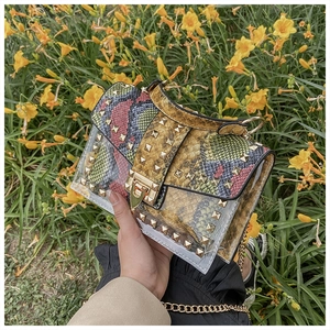 Close-up of clear jelly bag with colorful snake print, gold studs, and chain strap
