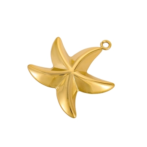Détail macro d'un pendentif étoile de mer doré de haute qualité en acier inoxydable