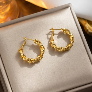 Elegant gold-plated titanium steel twisted rope hoop earrings in a jewelry box