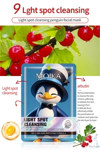 Detail of Penguin Facial Mask packaging with orange slices and berries for hydration