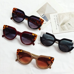 Fashionable cat-eye sunglasses for women in multiple colors on a stylish white background