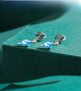 Vue macro de boucles d'oreilles tortue en argent S925 avec cristal bleu brillant