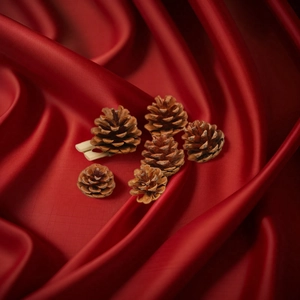 Natural brown pine cones with clips on red silk background for Christmas decor
