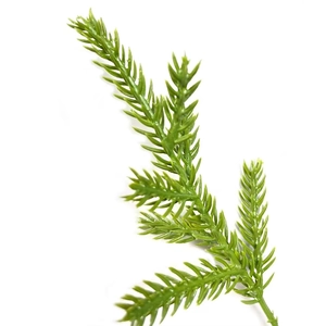 Detailed view of green artificial pine needle branches for DIY Christmas home decoration