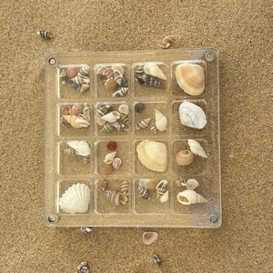 Top view of 16-grid clear acrylic box for seashell collection on a sandy beach background