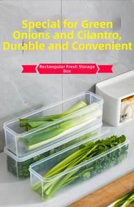 Macro view of transparent stackable food storage container for fresh scallions and herbs