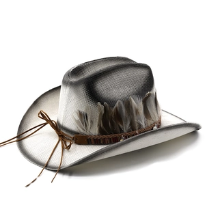 Close-up of natural feathers and woven ethnic band on a silver gradient cowboy straw hat