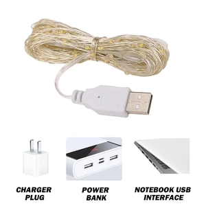 LED copper wire light string with USB interface shown with various power supply options