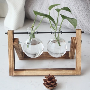 Detail of wooden stand with spherical glass bulbs for hydroponic plant propagation