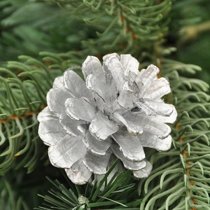 Dettaglio di una pigna decorativa dipinta d'argento per la decorazione dell'albero