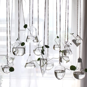 Close-up of hanging glass hydroponic vases in various shapes with hemp rope and green plants