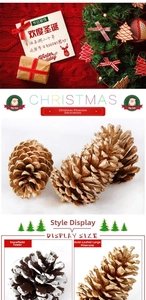 Detail of gold-plated and snow-dusted natural pine cones for Christmas ceiling decoration