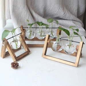 Three-bulb and two-bulb glass hydroponic planters on wooden stands with green plants