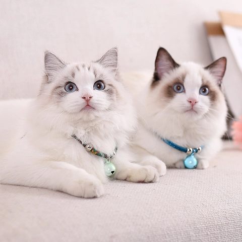 Japanischer Stil Haustier Glocke Halsband Verstellbares Geflochtenes Seil Halsband Für Katzen Und Kleine Hunde Dekorativ