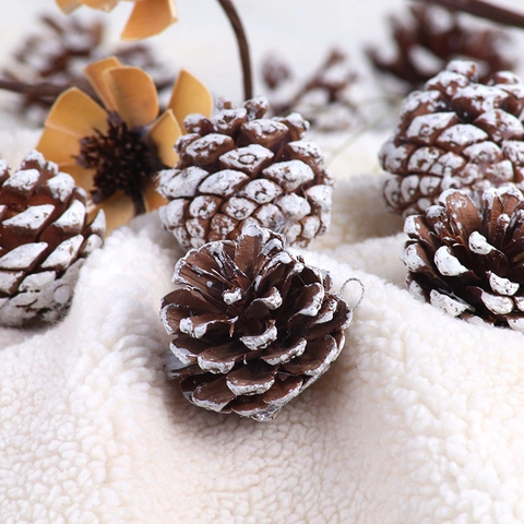 Pigne Naturali Bordo Ghiacciato Bianco Ornamenti Da Appendere Per Albero Di Natale Decorazione Domestica Invernale Fai Da Te
