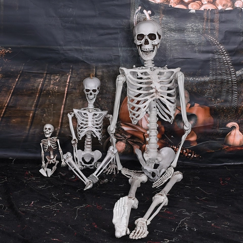 Realistisches Ganzkörper Skelett Kunststoff Bewegliche Gelenke Halloween Dekoration Horror Party Requisite Hängendes Ornament
