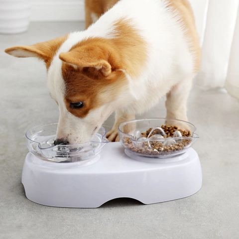 Ciotole Doppie Gatti Inclinate Protezione Collo Plastica Anti Soffocamento Trasparente Forma Orecchio Gatto Cani Piccoli