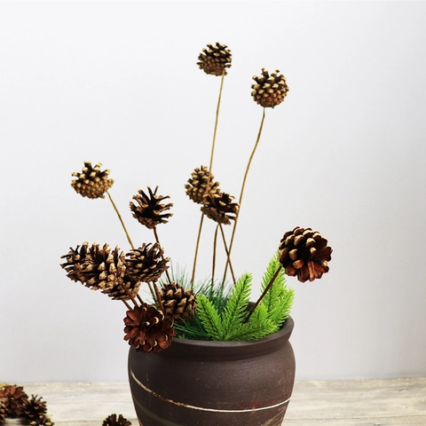 Branches De Pommes De Pin Séchées Naturelles Tiges Pliables Faites À La Main Décoration Maison Arrangement Floral Zen