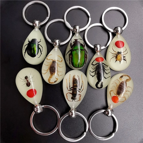 Echtes Insektenpräparat Harz Schlüsselanhänger Anhänger Tropfen Harz Bernstein Schlüsselanhänger Für Auto Rucksack Deko Ethno-Schmuck
