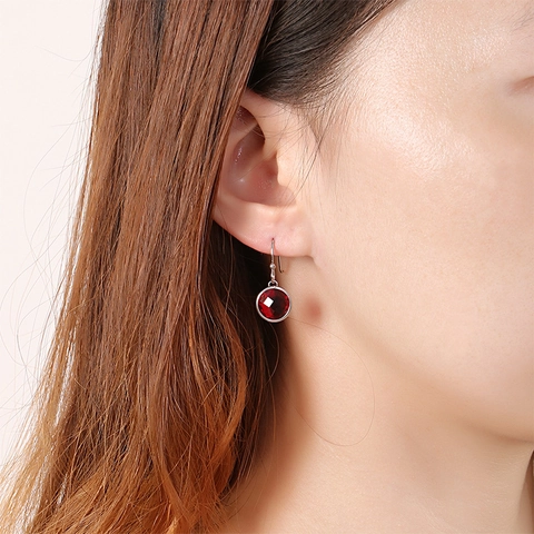 Round Faceted Crystal Dangle Earrings 316L Stainless Steel Hook Hypoallergenic Jewelry For Women Fashion Simple