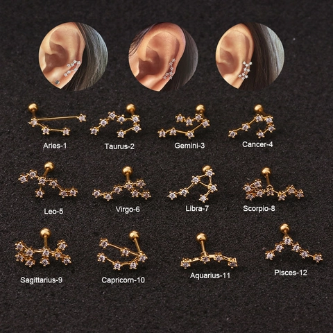 Zodiac Sterrenbeeld Oorkraakbeen Studs Roestvrij Staal En Koper Zirkonia Piercing Oorbellen Mode Sieraden