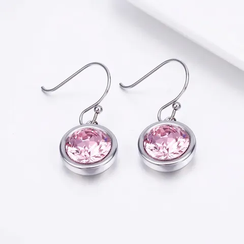 Round Zircon Drop Earrings Stainless Steel Colorful Hook Dangle Jewelry For Women Minimalist Style