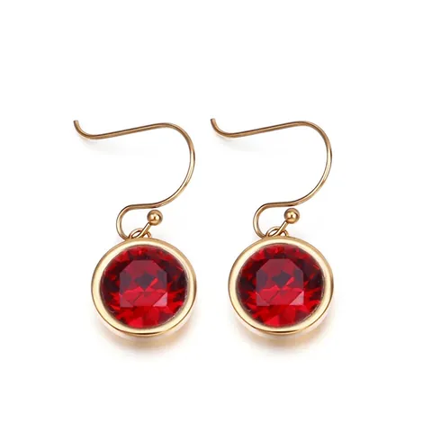 Runde Zirkonia Hänger Ohrringe Edelstahl Vergoldet Haken Ohrschmuck Für Frauen Vintage Minimalistisch Elegant