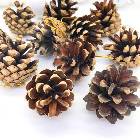 Ornamenti Di Pigne Naturali Per Albero Di Natale Con Cordini Dorati Innevati Decorazione Festiva Dettagli Per Ghirlande DIY