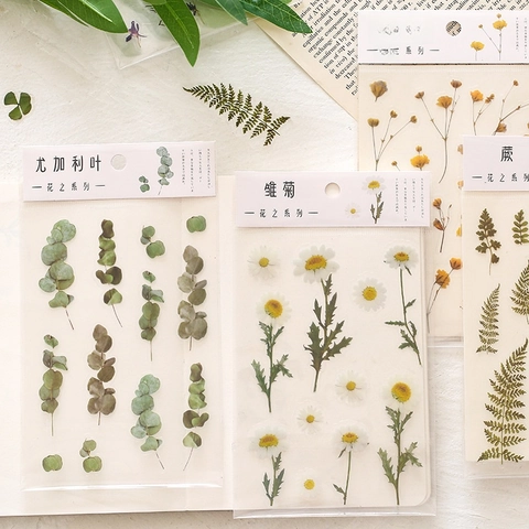 Set Adesivi Floreali Trasparenti PET Decalcomanie Piante Botaniche Vintage Per Journaling Scrapbooking Decorazione Cancelleria DIY