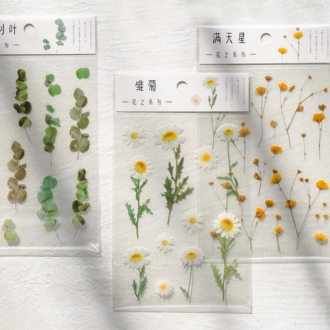 Set Adesivi Floreali Trasparenti PET Decalcomanie Piante Botaniche Vintage Per Journaling Scrapbooking Decorazione Cancelleria DIY