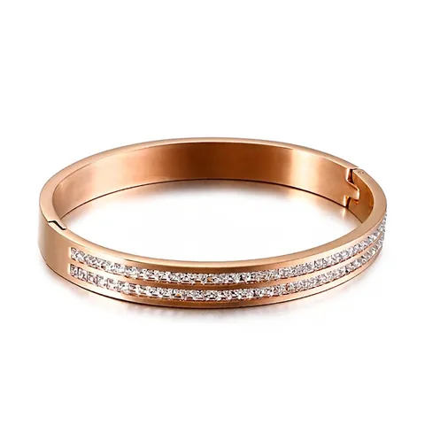 Double Row Rhinestone Bangle Bracelet 316L Stainless Steel Cubic Zirconia Hinged Clasp Fashion Jewelry For Women